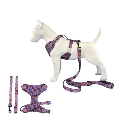 Hondenharnas en riemset