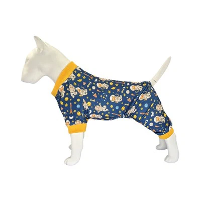 Universum Hondenrompertjes