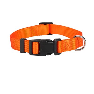 Duurzame hondenhalsband